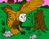 Coloring page Owl hunting painted byBuford the red