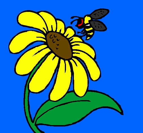 Coloring page Daisy with bee painted bycarina