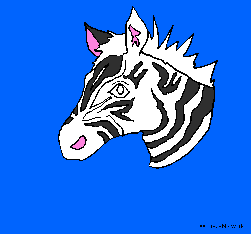 Coloring page Zebra II painted byOliverA