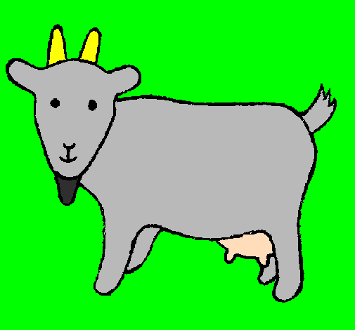 Coloring page Goat painted byevan