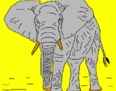 Coloring page Elephant painted bywilliam mcfadyen
