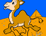 Coloring page Camel painted bytyreke
