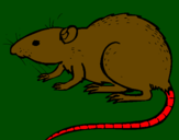 Coloring page Underground rat painted byLUIS