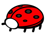 Coloring page Ladybird painted byCHLOE