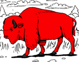 Coloring page Buffalo painted bymj