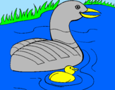 Coloring page Mother goose and gosling painted bycynthia