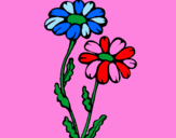 Coloring page Daisies painted byjulia