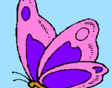 Coloring page Butterfly painted bykoala