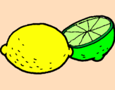 Coloring page lemon painted byvalentinaalmanza