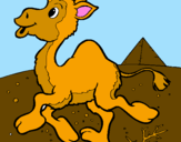 Coloring page Camel painted bymichele