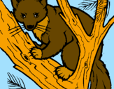 Coloring page Pine marten in tree painted byIratxe