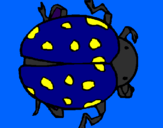 Coloring page Ladybird painted byBRITTANY