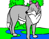Coloring page Wolf painted bysusie