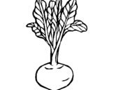 Coloring page beetroot painted byley