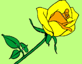 Coloring page Rose painted byMarga