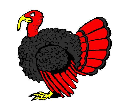 Coloring page Turkey painted byharry4717