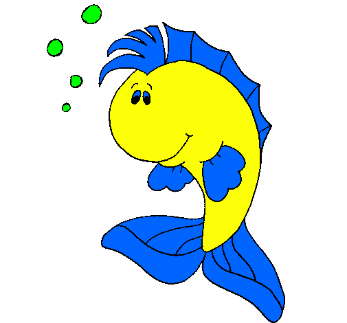 Punky fish