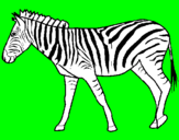 Coloring page Zebra painted bylorenzo