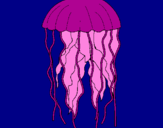 Coloring page Jellyfish painted byDucky The Duck