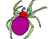 Coloring page Poisonous spider painted byIvy