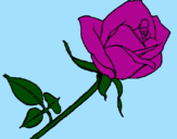 Coloring page Rose painted byHolly