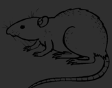 Coloring page Underground rat painted byjosh