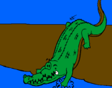Coloring page Alligator entering water painted bygabe