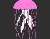 Coloring page Jellyfish painted byrodolfo