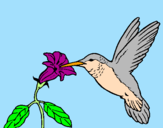 Coloring page Hummingbird and flower painted byIratxe