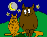 Coloring page Owls painted byRose