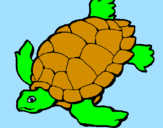 Coloring page Turtle painted bylogan