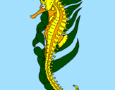 Coloring page Oriental sea horse painted byandrea99