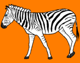 Coloring page Zebra painted by  anna rose
