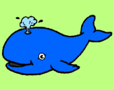 Coloring page Whale shooting out water painted bylala