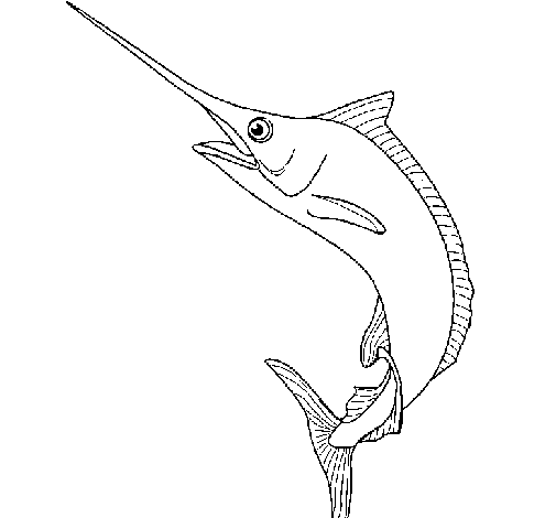 Coloring page Swordfish painted by132