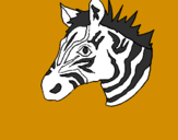 Coloring page Zebra II painted byyola