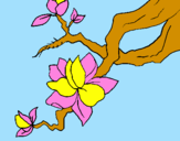 Coloring page Almond flower painted byEmmaMae126