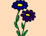 Coloring page Daisies painted byMarga