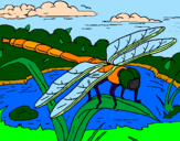Coloring page Dragonfly painted bywilliam mcfadyen