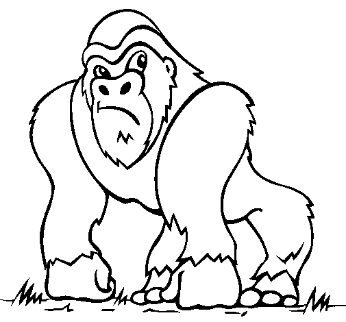 Coloring page Gorilla painted bycsx