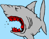 Coloring page Shark painted bylana lika