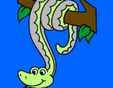 Coloring page Snake hanging from a tree painted byDenise