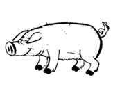 Coloring page Pig with black trotters painted byanonymous