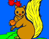 Coloring page Squirrel painted bymichael