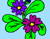Coloring page Flowers painted byasde