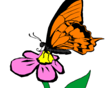 Coloring page Butterfly on flower painted byCarly shay