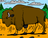 Coloring page Buffalo painted byLorraine