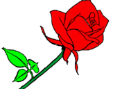 Coloring page Rose painted bycynthia
