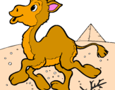 Coloring page Camel painted bybaleria