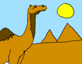 Coloring page Camel painted byhanna montana
